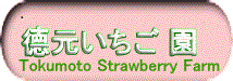 德元いちご園